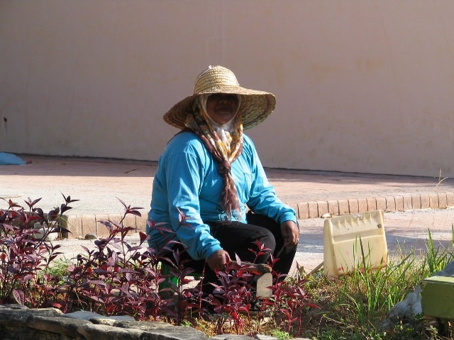 De tuinvrouw in Oriental Village.