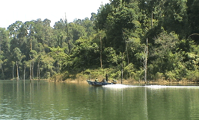 Lake Temenggor - Foto van Linsay